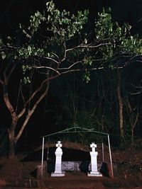 Statue of trees in forest at night