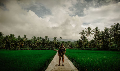 Rear view of man walking on field against sky