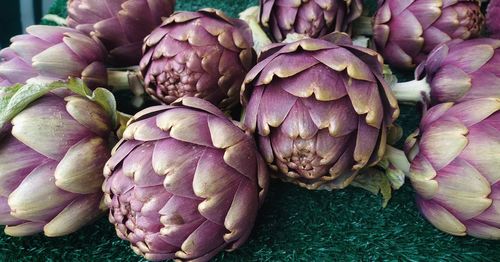 artichoke