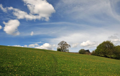 Scenic view of field against sky