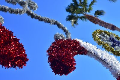 Low angle view of tree against clear sky