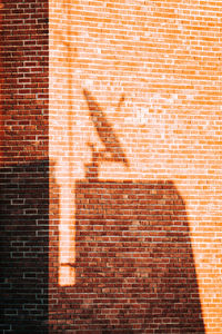 Shadow of man on brick wall