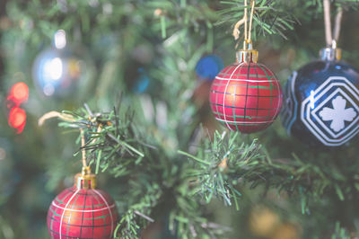 Close-up of christmas decorations hanging on tree