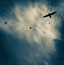 Low angle view of silhouette birds flying against sky