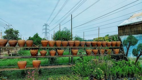 Plants growing on field against sky