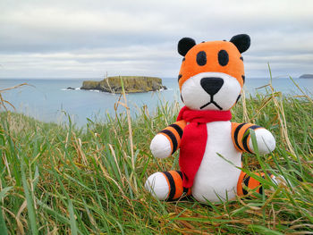 Close-up of stuffed toy on grass by sea against sky