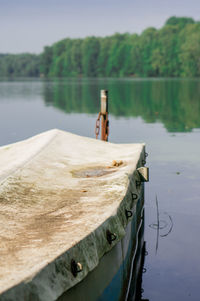 Reflection of trees in water