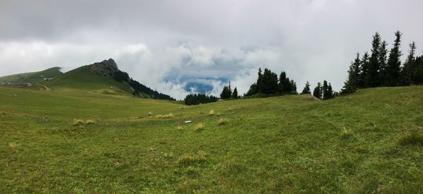 Panoramic view of landscape against sky