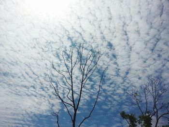 Low angle view of bare tree against cloudy sky