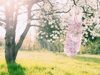 Floral dress hanging on tree 