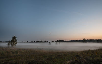 Scenic view of field against sky during sunset