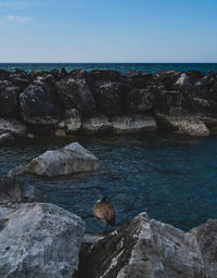 Rocks on sea shore against sky