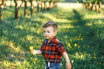 Cute boy looking away on field