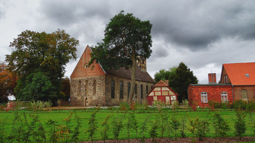 Trees on field against cloudy sky