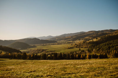 Scenic view of field against clear sky