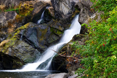 Scenic view of waterfall in forest