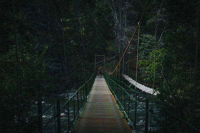 Footbridge amidst trees in forest