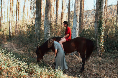 View of horse on field