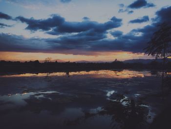 Silhouette of trees at sunset