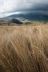 Scenic view of pilongo hill in andes mountain range in ecuador.