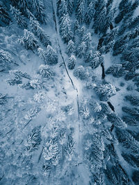 High angle view of snow on landscape