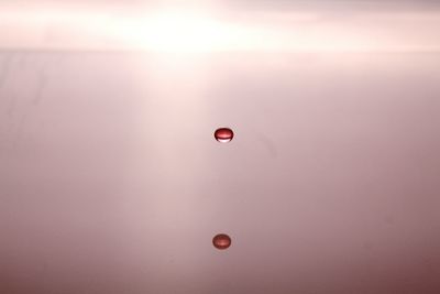 Close-up of red water drop