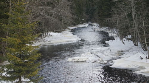 River flowing through forest during winter