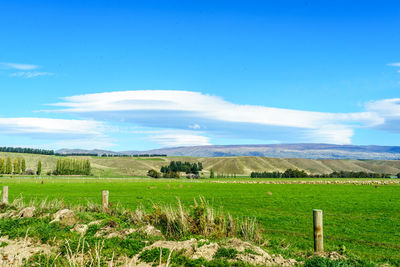 Scenic view of field against blue sky