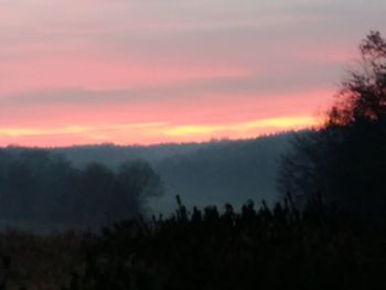 Silhouette trees against sky during sunset