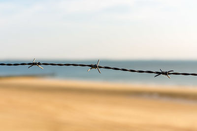 Close-up of barbed wire against sky