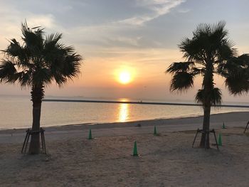 Scenic view of beach during sunset