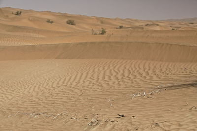 0247 chains of moving sand dunes cover the surface of the taklamakan desert. yutian-xinjiang -china.