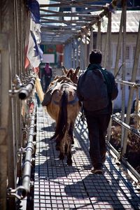 Rear view of people in city