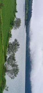 High angle view of lake and trees against sky