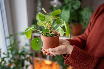 Midsection of woman holding potted plant