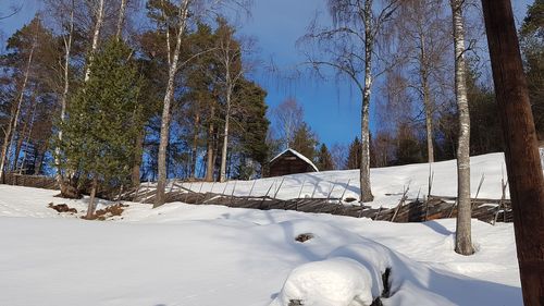 Snow covered land and trees against sky
