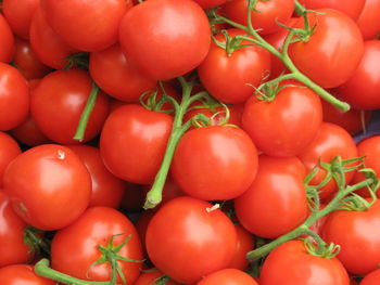 Full frame shot of tomatoes for sale at market stall