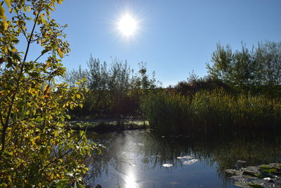 Scenic view of landscape against clear sky