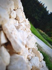 Close-up of rocks on shore