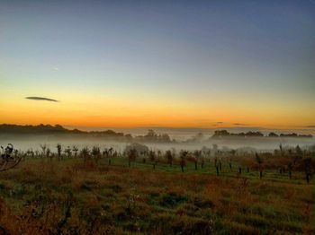 Scenic shot of countryside landscape at sunset