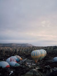 Hot air balloons on landscape against sky