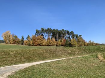 Trees on field against clear blue sky