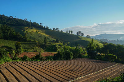 Scenic view of field against sky