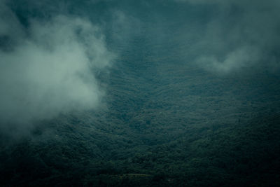 Scenic view of fog