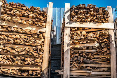 Stack of logs in forest