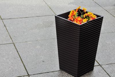 High angle view of flowers on tiled floor
