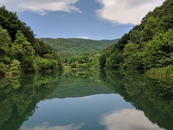 Scenic view of lake by trees against sky