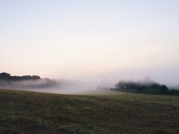 Scenic view of grassy field in foggy weather