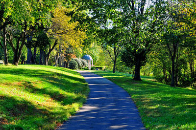 Footpath in park