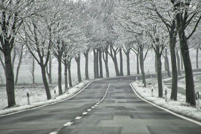 Road amidst trees in forest